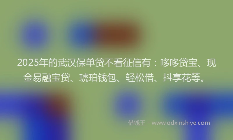 2025年的武汉保单贷不看征信有：哆哆贷宝、现金易融宝贷、琥珀钱包、轻松借、抖享花等。
