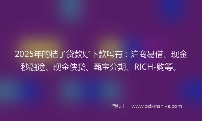 2025年的桔子贷款好下款吗有：沪商易借、现金秒融途、现金侠贷、甄宝分期、RICH-购等。