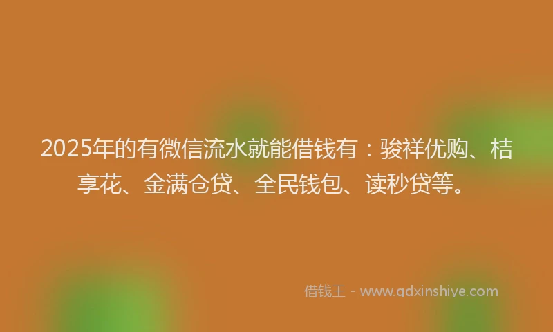 2025年的有微信流水就能借钱有：骏祥优购、桔享花、金满仓贷、全民钱包、读秒贷等。