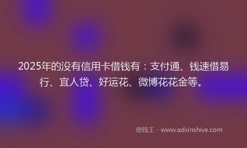 2025年的没有信用卡借钱有：支付通、钱速借易行、宜人贷、好运花、微博花花金等。