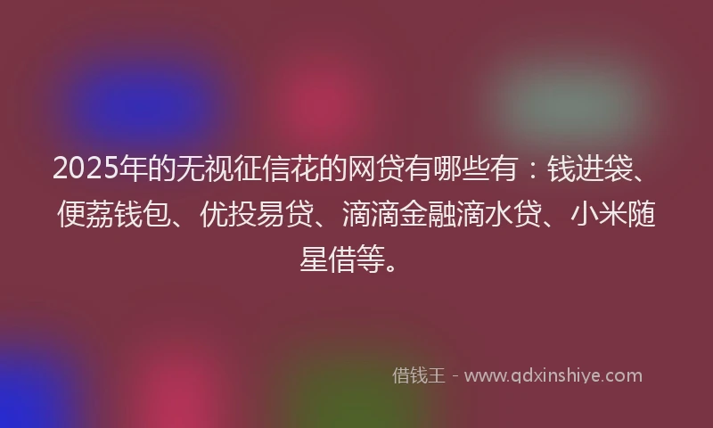 2025年的无视征信花的网贷有哪些有：钱进袋、便荔钱包、优投易贷、滴滴金融滴水贷、小米随星借等。