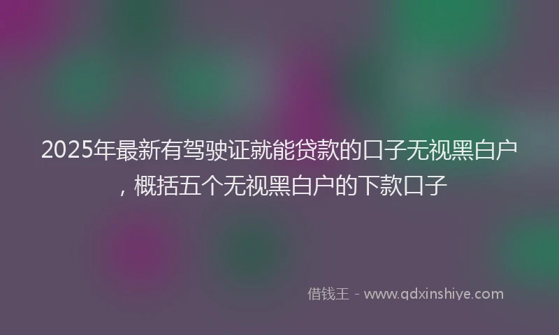 2025年最新有驾驶证就能贷款的口子无视黑白户，概括五个无视黑白户的下款口子