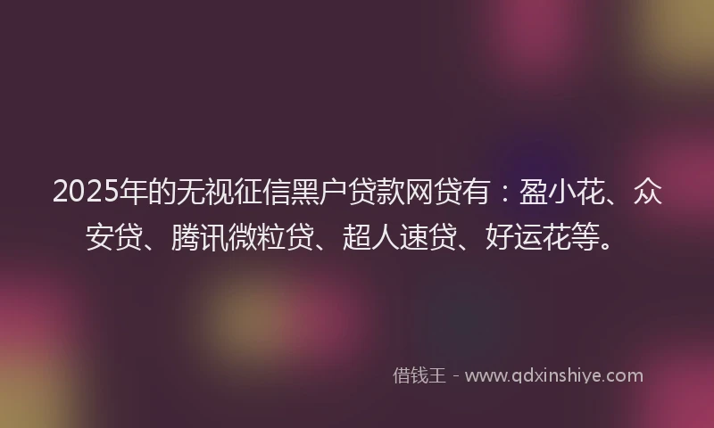 2025年的无视征信黑户贷款网贷有：盈小花、众安贷、腾讯微粒贷、超人速贷、好运花等。