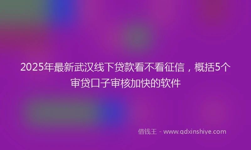 2025年最新武汉线下贷款看不看征信，概括5个审贷口子审核加快的软件