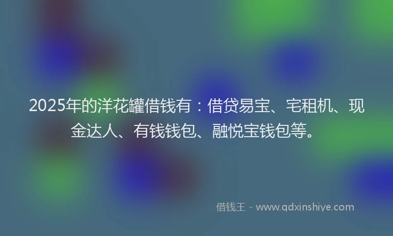 2025年的洋花罐借钱有：借贷易宝、宅租机、现金达人、有钱钱包、融悦宝钱包等。