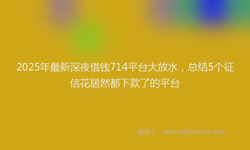 2025年最新深夜借钱714平台大放水，总结5个征信花居然都下款了的平台