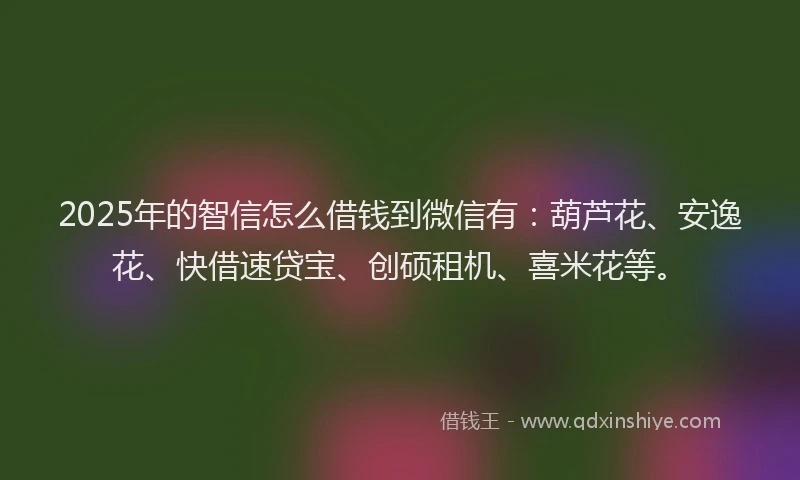 2025年的智信怎么借钱到微信有：葫芦花、安逸花、快借速贷宝、创硕租机、喜米花等。