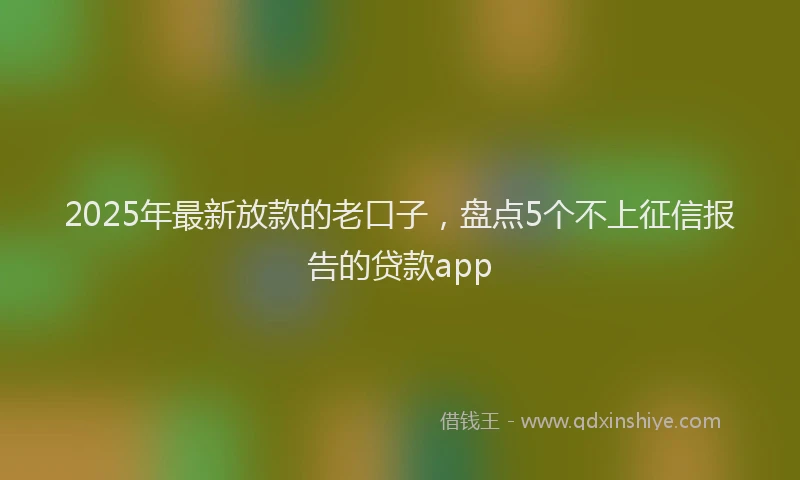 2025年最新放款的老口子，盘点5个不上征信报告的贷款app