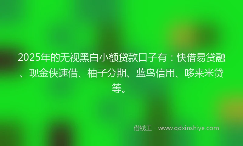 2025年的无视黑白小额贷款口子有：快借易贷融、现金侠速借、柚子分期、蓝鸟信用、哆来米贷等。