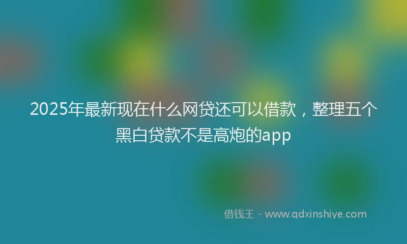 2025年最新现在什么网贷还可以借款，整理五个黑白贷款不是高炮的app