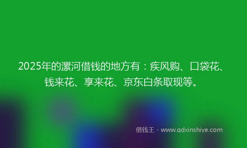 2025年的漯河借钱的地方有：疾风购、口袋花、钱来花、享来花、京东白条取现等。