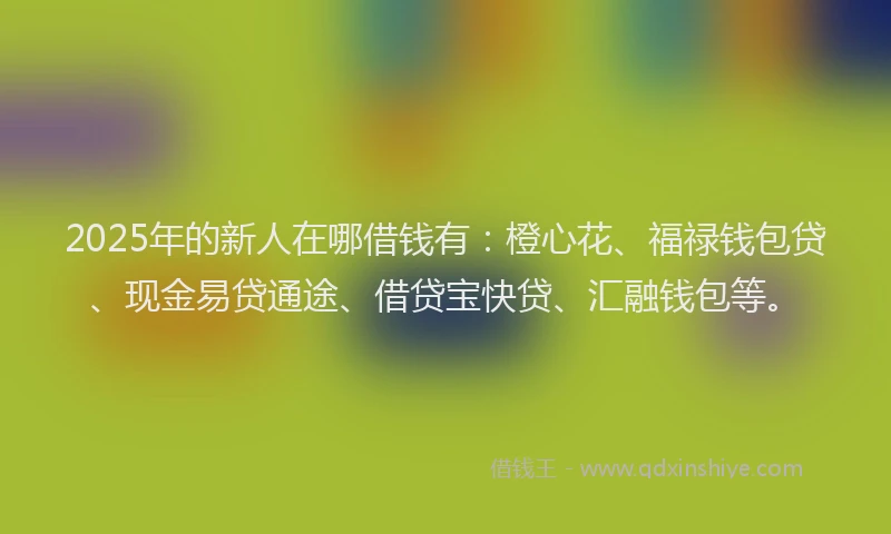 2025年的新人在哪借钱有：橙心花、福禄钱包贷、现金易贷通途、借贷宝快贷、汇融钱包等。