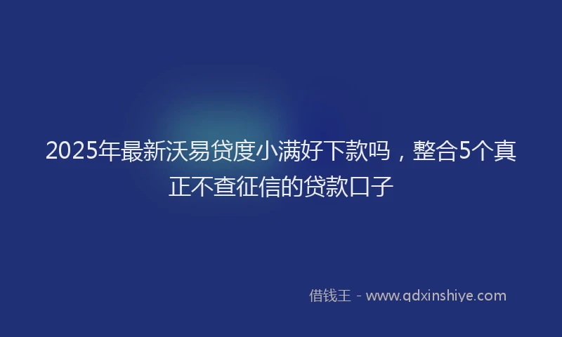 2025年最新沃易贷度小满好下款吗，整合5个真正不查征信的贷款口子