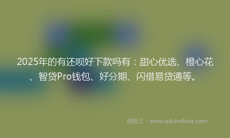 2025年的有还呗好下款吗有：甜心优选、橙心花、智贷Pro钱包、好分期、闪借易贷通等。