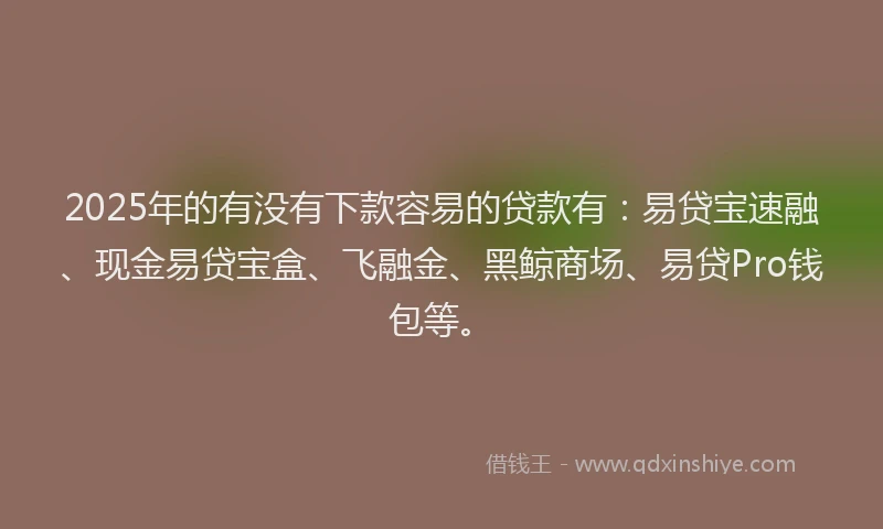 2025年的有没有下款容易的贷款有：易贷宝速融、现金易贷宝盒、飞融金、黑鲸商场、易贷Pro钱包等。