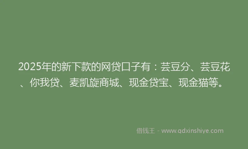 2025年的新下款的网贷口子有：芸豆分、芸豆花、你我贷、麦凯旋商城、现金贷宝、现金猫等。