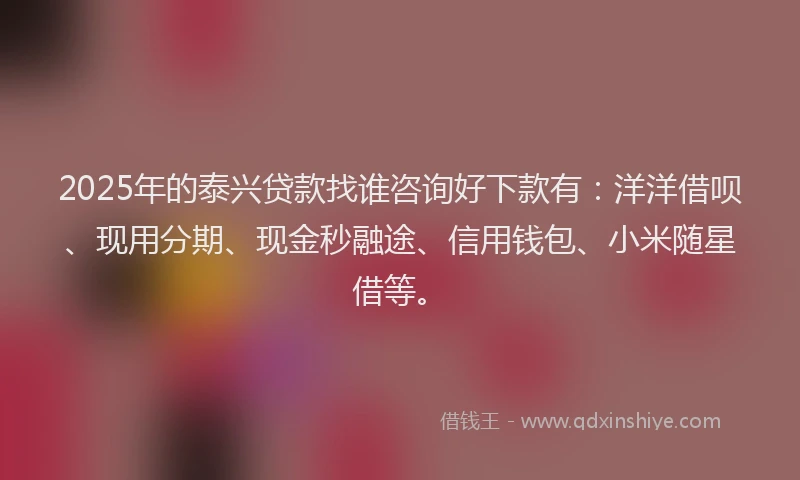 2025年的泰兴贷款找谁咨询好下款有：洋洋借呗、现用分期、现金秒融途、信用钱包、小米随星借等。