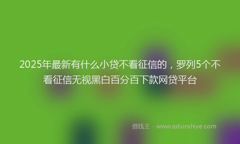 2025年最新有什么小贷不看征信的，罗列5个不看征信无视黑白百分百下款网贷平台