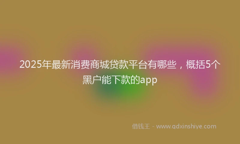 2025年最新消费商城贷款平台有哪些，概括5个黑户能下款的app