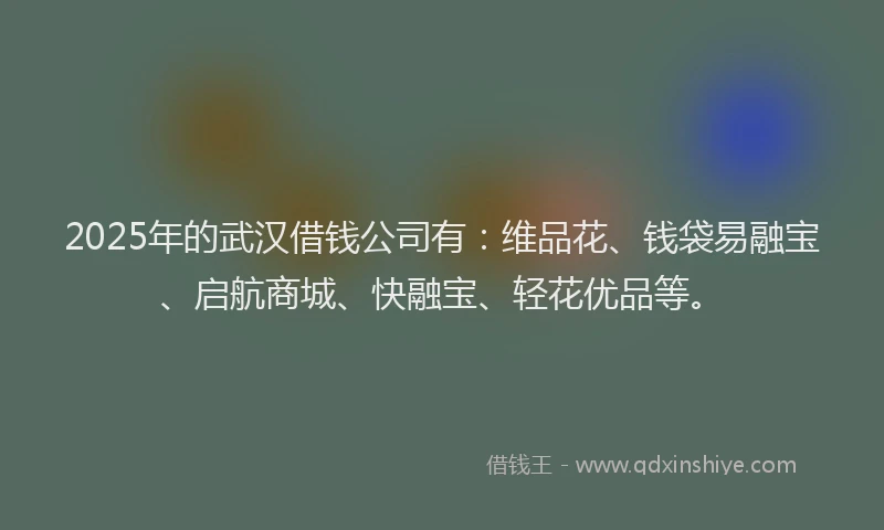 2025年的武汉借钱公司有：维品花、钱袋易融宝、启航商城、快融宝、轻花优品等。