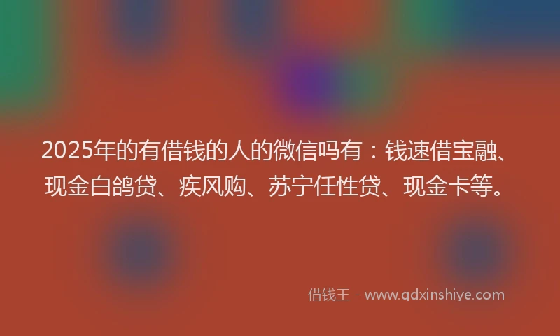 2025年的有借钱的人的微信吗有：钱速借宝融、现金白鸽贷、疾风购、苏宁任性贷、现金卡等。