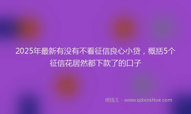 2025年最新有没有不看征信良心小贷，概括5个征信花居然都下款了的口子