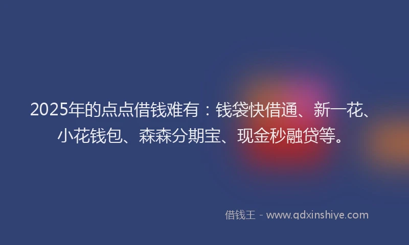 2025年的点点借钱难有：钱袋快借通、新一花、小花钱包、森森分期宝、现金秒融贷等。