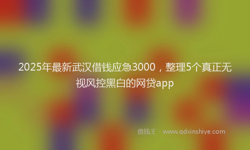 2025年最新武汉借钱应急3000，整理5个真正无视风控黑白的网贷app