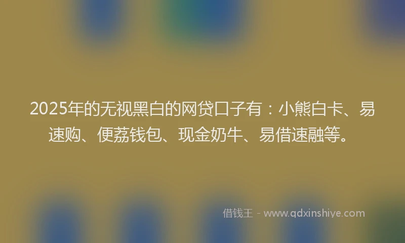 2025年的无视黑白的网贷口子有：小熊白卡、易速购、便荔钱包、现金奶牛、易借速融等。