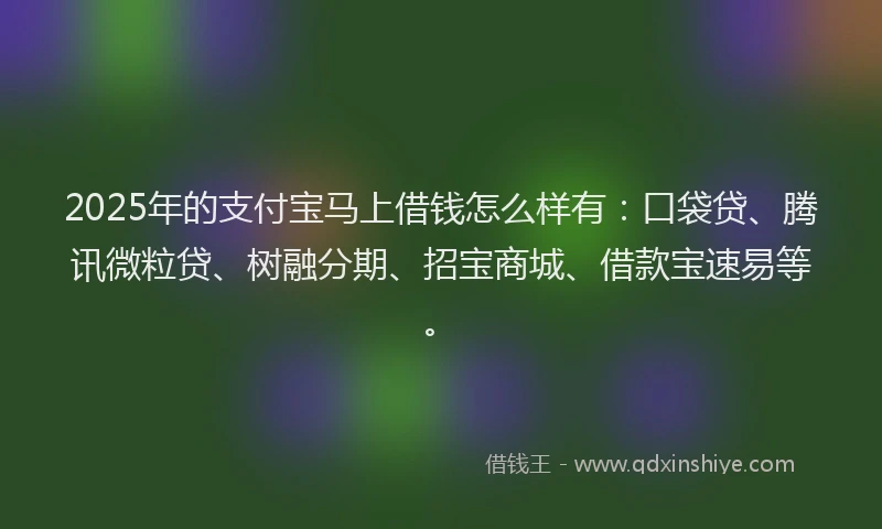 2025年的支付宝马上借钱怎么样有：口袋贷、腾讯微粒贷、树融分期、招宝商城、借款宝速易等。
