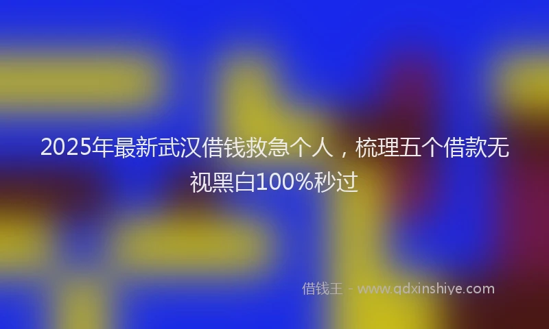 2025年最新武汉借钱救急个人，梳理五个借款无视黑白100%秒过