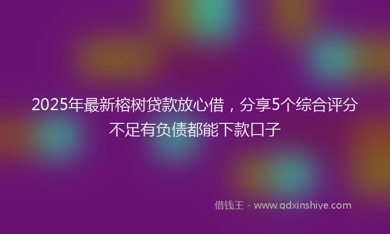 2025年最新榕树贷款放心借，分享5个综合评分不足有负债都能下款口子