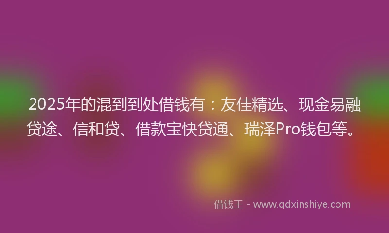 2025年的混到到处借钱有：友佳精选、现金易融贷途、信和贷、借款宝快贷通、瑞泽Pro钱包等。