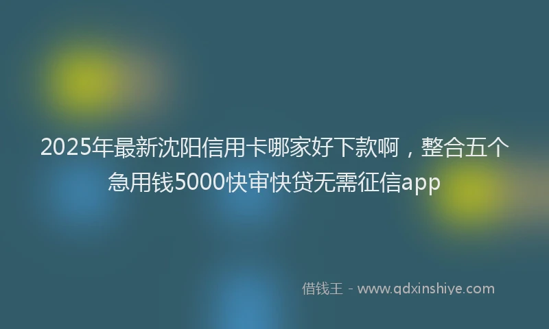 2025年最新沈阳信用卡哪家好下款啊，整合五个急用钱5000快审快贷无需征信app