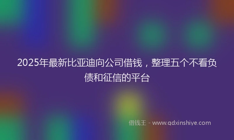 2025年最新比亚迪向公司借钱，整理五个不看负债和征信的平台