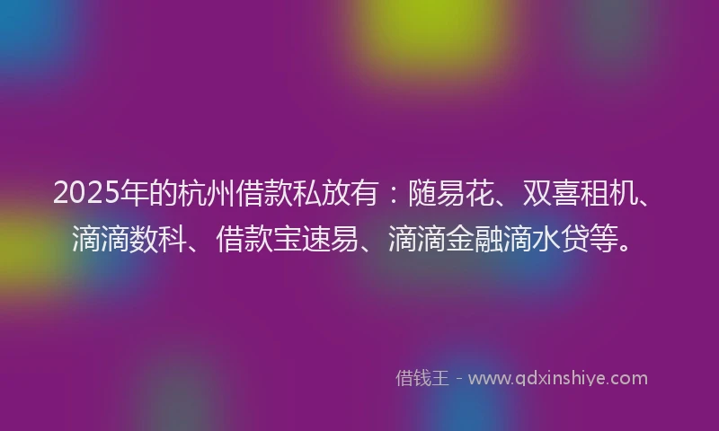 2025年的杭州借款私放有：随易花、双喜租机、滴滴数科、借款宝速易、滴滴金融滴水贷等。