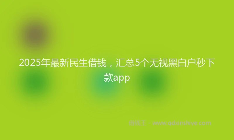 2025年最新民生借钱，汇总5个无视黑白户秒下款app