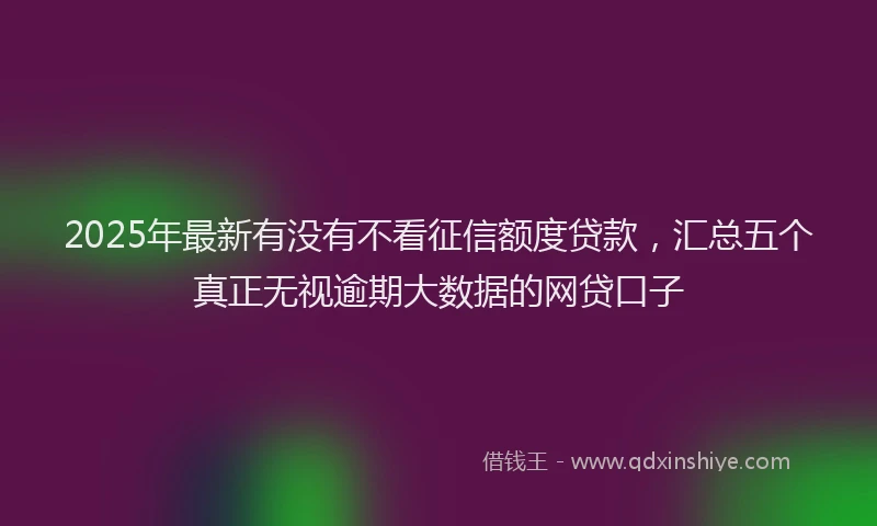 2025年最新有没有不看征信额度贷款，汇总五个真正无视逾期大数据的网贷口子