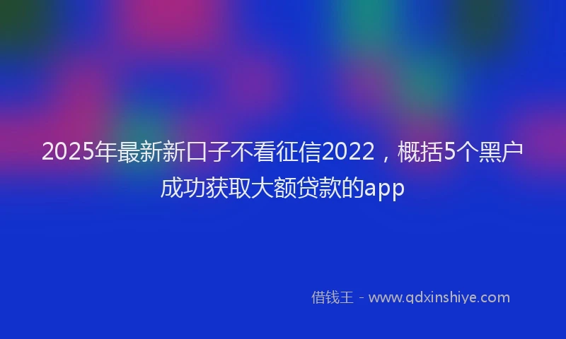 2025年最新新口子不看征信2022，概括5个黑户成功获取大额贷款的app