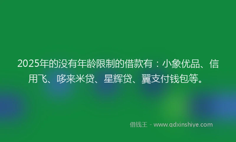 2025年的没有年龄限制的借款有：小象优品、信用飞、哆来米贷、星辉贷、翼支付钱包等。