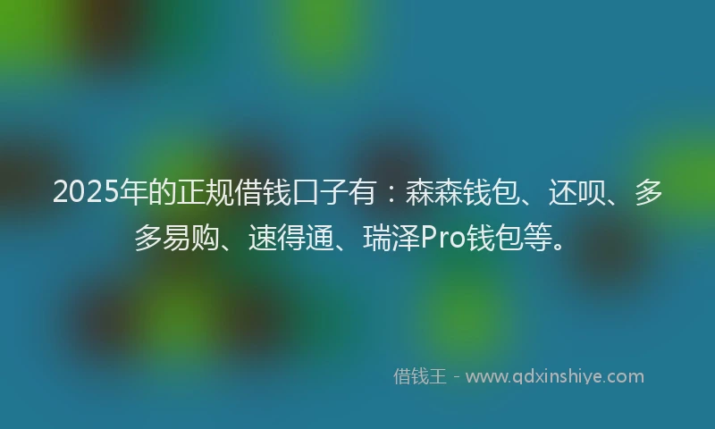 2025年的正规借钱口子有：森森钱包、还呗、多多易购、速得通、瑞泽Pro钱包等。