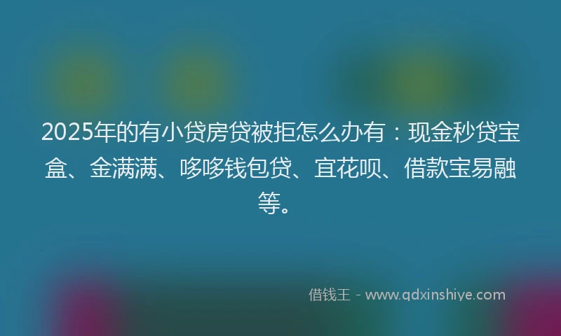 2025年的有小贷房贷被拒怎么办有：现金秒贷宝盒、金满满、哆哆钱包贷、宜花呗、借款宝易融等。