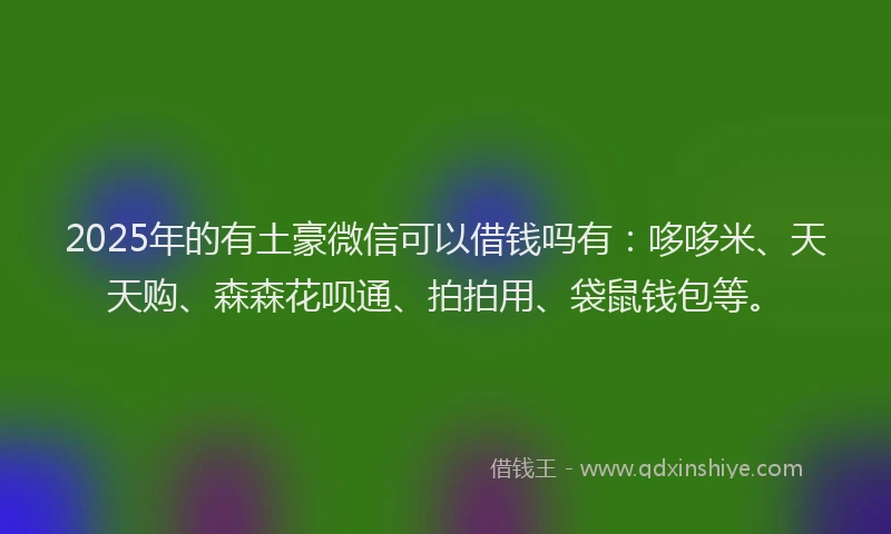2025年的有土豪微信可以借钱吗有:哆哆米、天天购、森森花呗通、拍拍用、袋鼠钱包等。