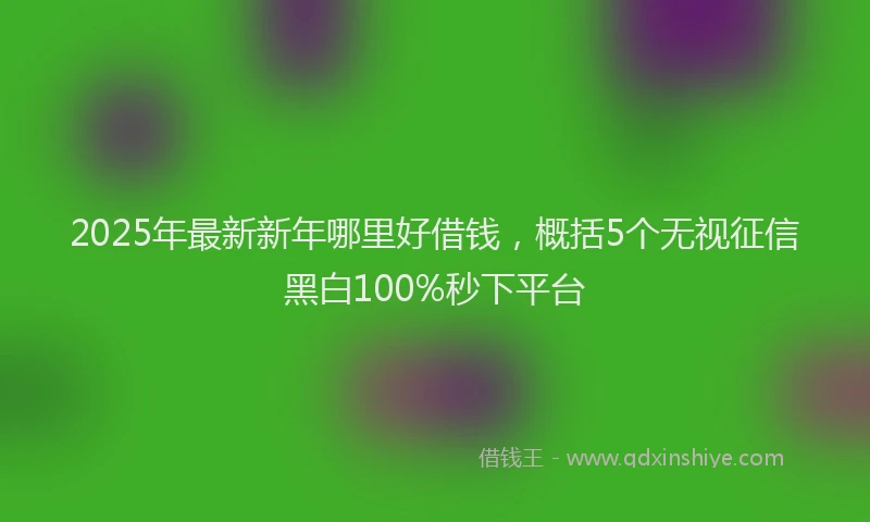 2025年最新新年哪里好借钱，概括5个无视征信黑白100%秒下平台