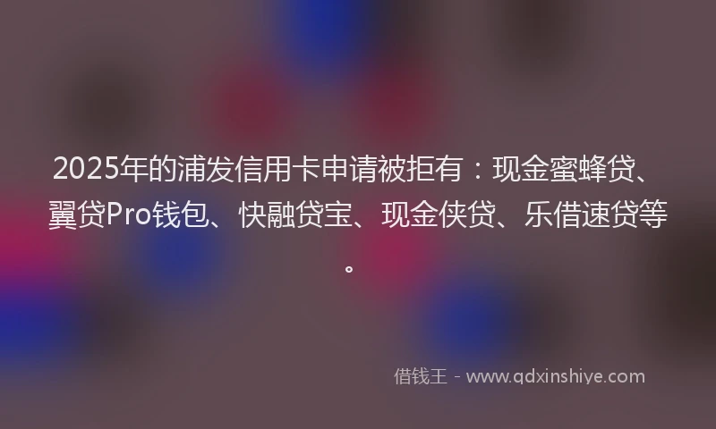 2025年的浦发信用卡申请被拒有：现金蜜蜂贷、翼贷Pro钱包、快融贷宝、现金侠贷、乐借速贷等。