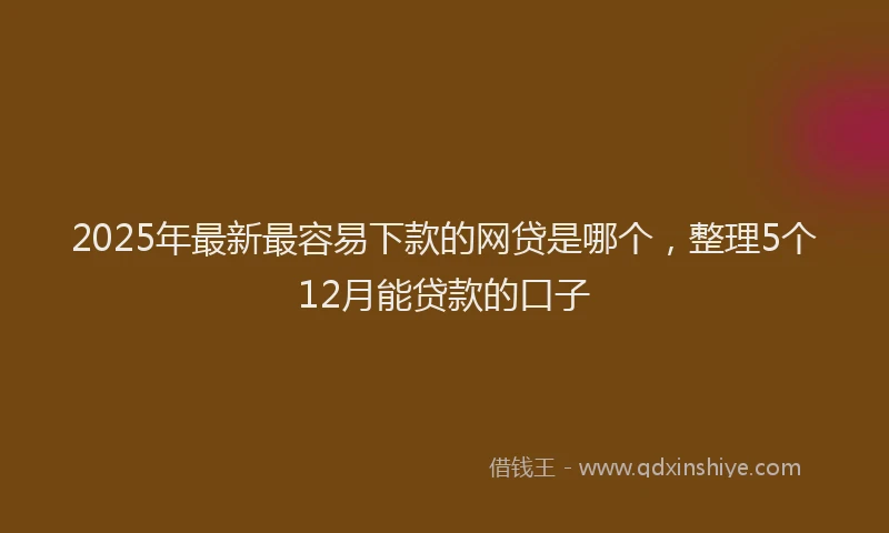 2025年最新最容易下款的网贷是哪个，整理5个12月能贷款的口子
