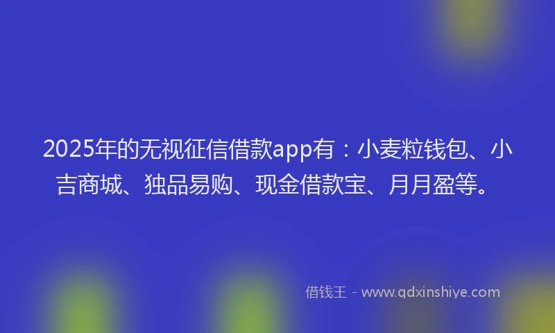 2025年的无视征信借款app有：小麦粒钱包、小吉商城、独品易购、现金借款宝、月月盈等。