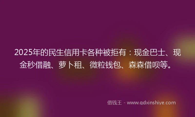2025年的民生信用卡各种被拒有：现金巴士、现金秒借融、萝卜租、微粒钱包、森森借呗等。