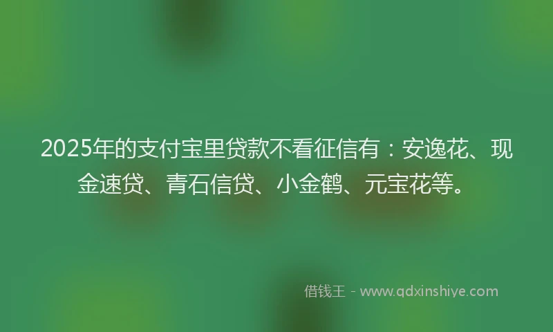 2025年的支付宝里贷款不看征信有：安逸花、现金速贷、青石信贷、小金鹤、元宝花等。