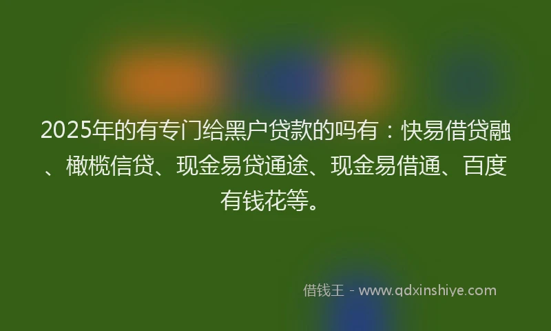 2025年的有专门给黑户贷款的吗有：快易借贷融、橄榄信贷、现金易贷通途、现金易借通、百度有钱花等。